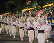 awaodori.jpg