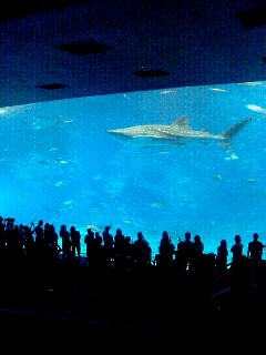 060806_1519~0001.jpg